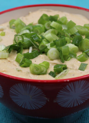 A picture of a red bowl with gluten free buffalo chicken dip inside and green onions topping it.